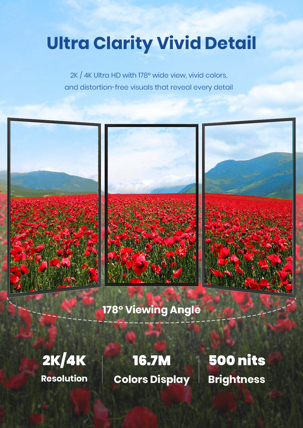 Vivid LCD digital signage detail