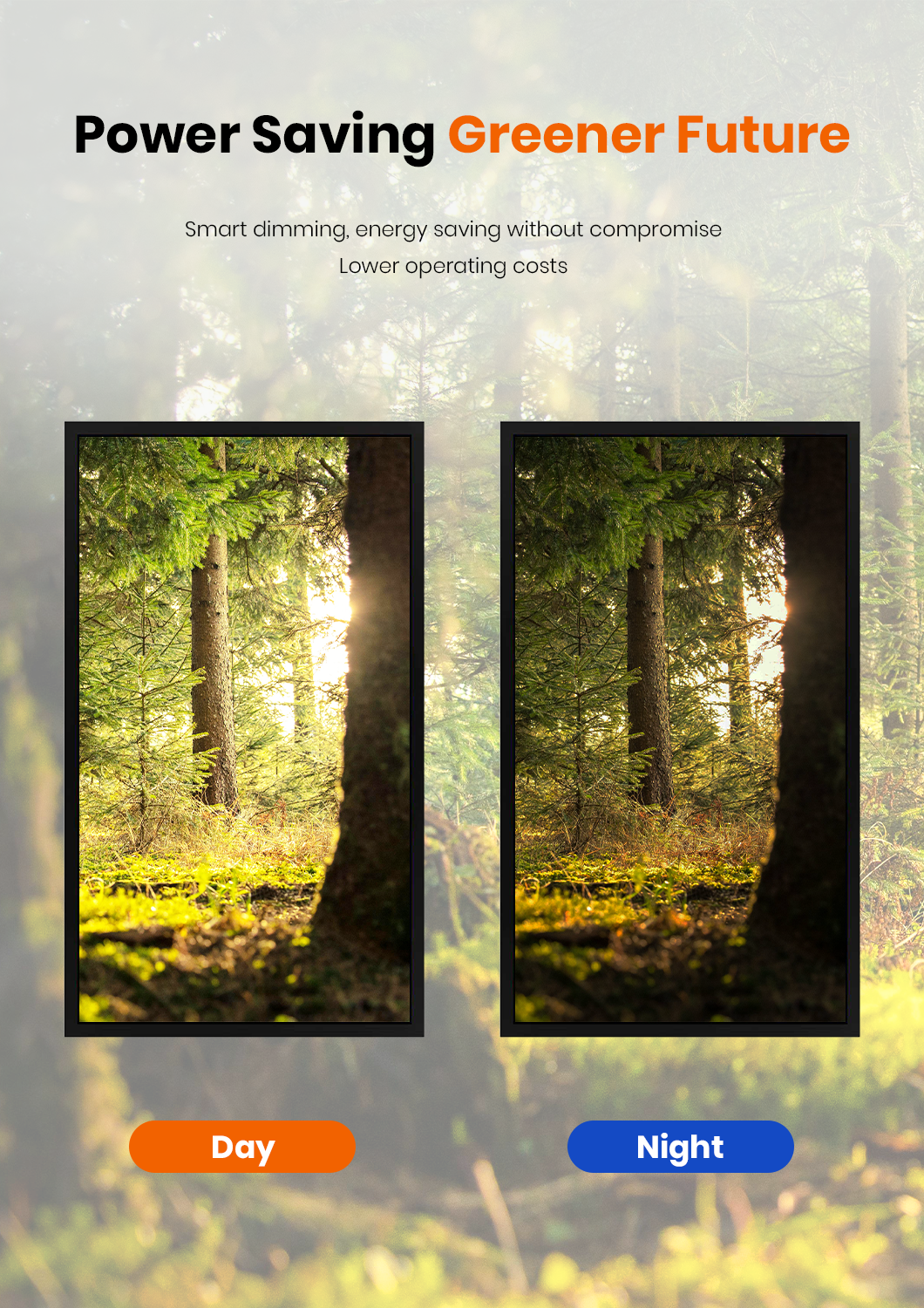 backlight local dimming display